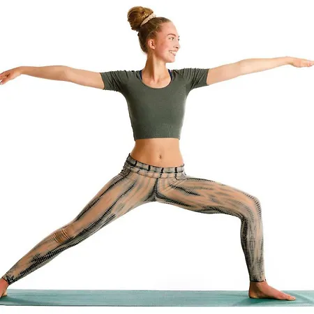 Resort Yoga Vidya Ashram *