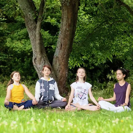 Resort Yoga Vidya Ashram *