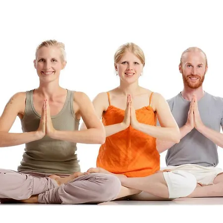 Yoga Vidya Ashram Resort *