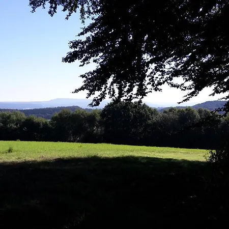 Yoga Vidya Ashram * Horn-Bad Meinberg